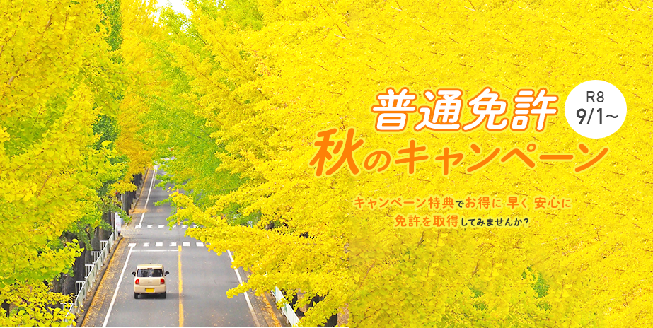 【普通車】秋のキャンペーン