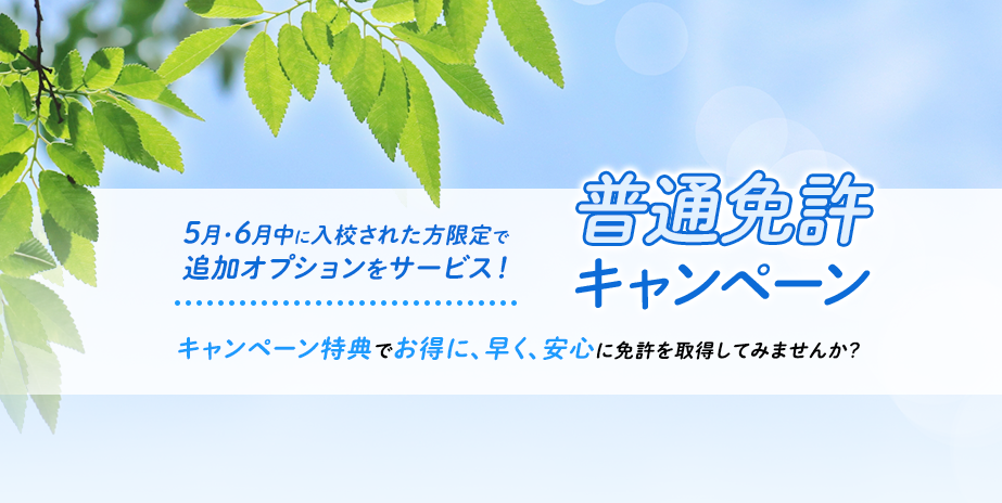【普通車】夏のキャンペーン