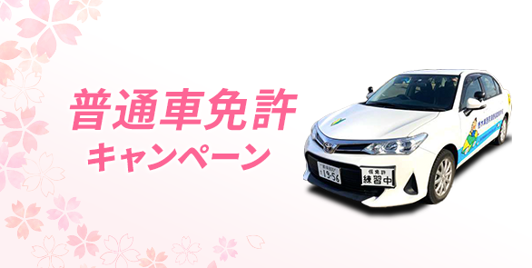 【普通車】春のキャンペーン