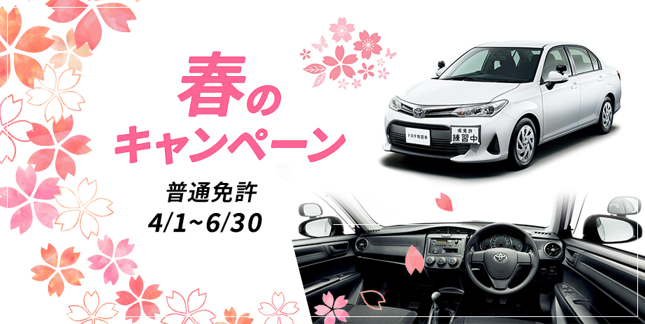 【普通車】春のキャンペーン